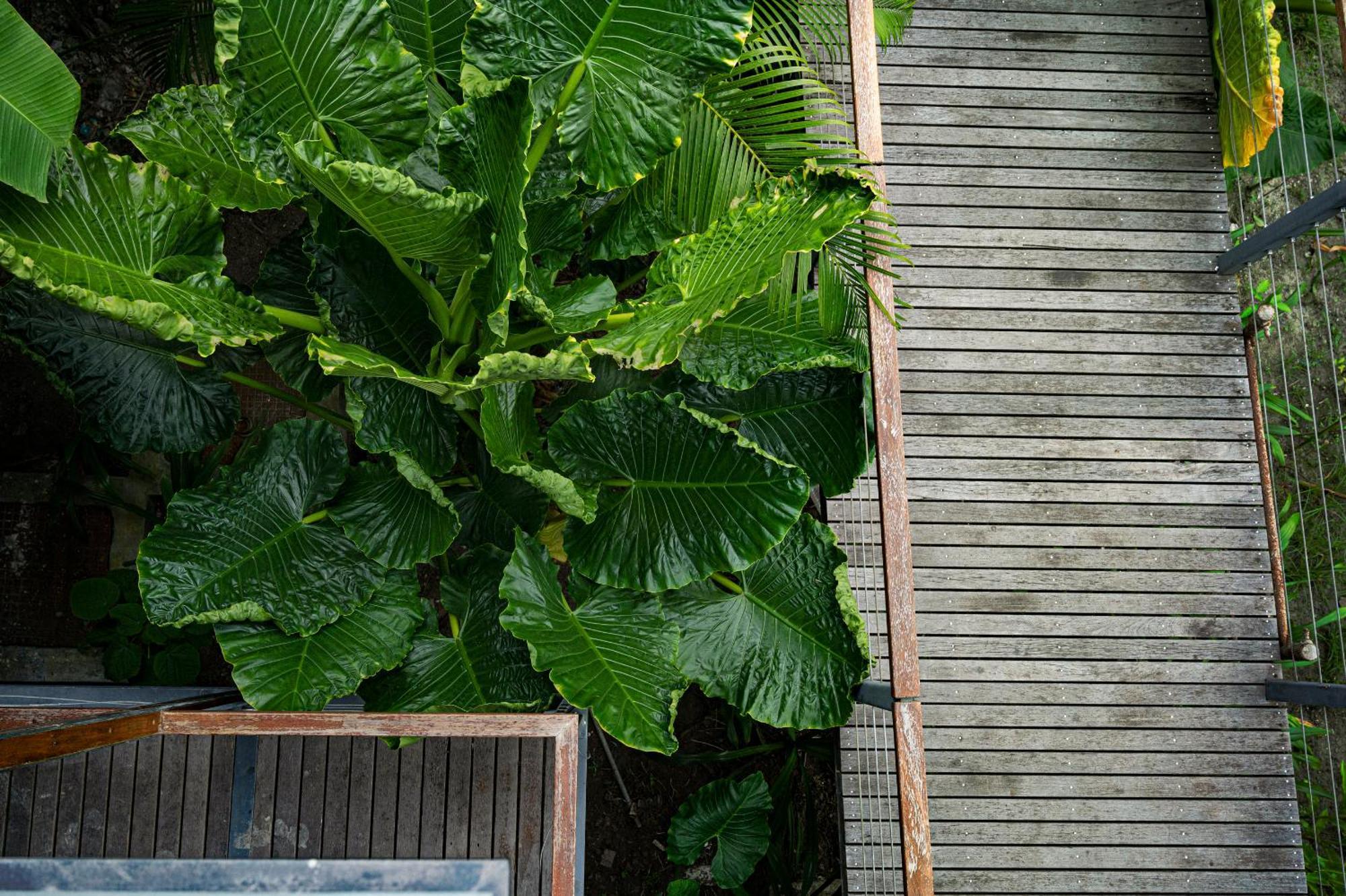 Tilar Siro Andamans - A Cgh Earth Experience Hotel Govind Nagar Ngoại thất bức ảnh